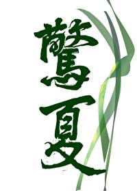惊夏:我埋了……封面