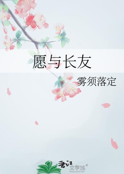 愿与长友封面