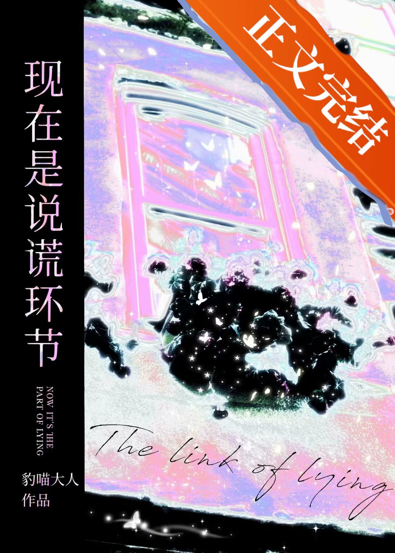 现在是说谎环节封面