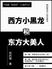 西方小黑龙和东方大美人封面