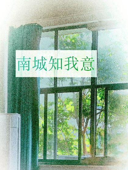 南城知我意封面