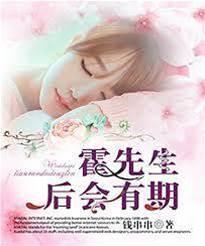 霍先生,后会有期封面