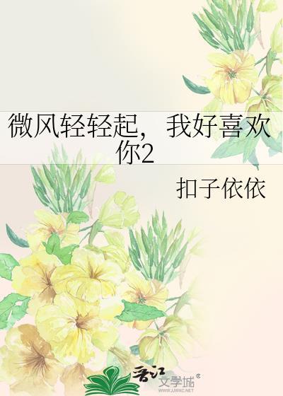 微风轻轻起，我好喜欢你2封面