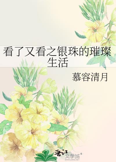 看了又看之银珠的璀璨生活封面
