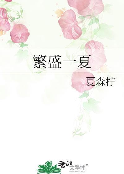繁盛一夏封面