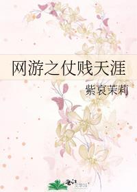 网游之仗贱天涯封面