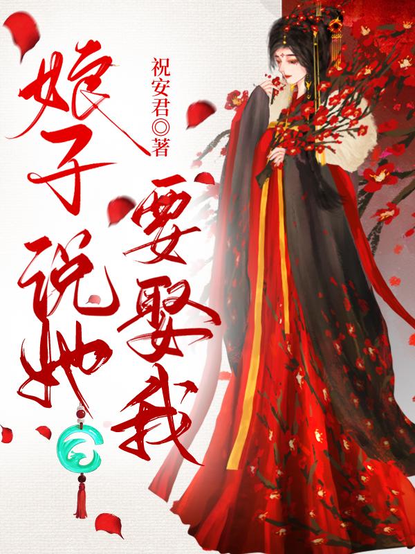 娘子说她要娶我封面