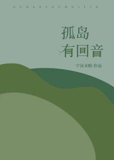 孤岛有回音封面
