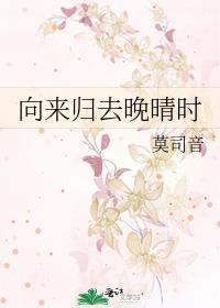 向来归去晚晴时封面