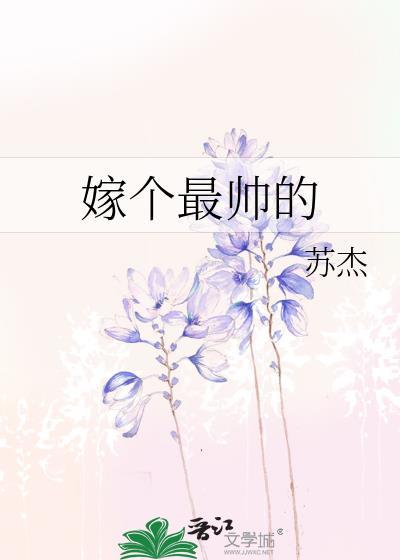 嫁个最帅的封面