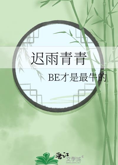 迟雨青青封面