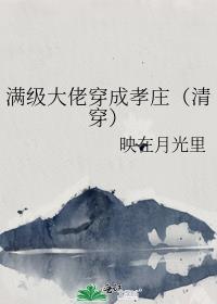 满级大佬穿成孝庄（清穿）封面