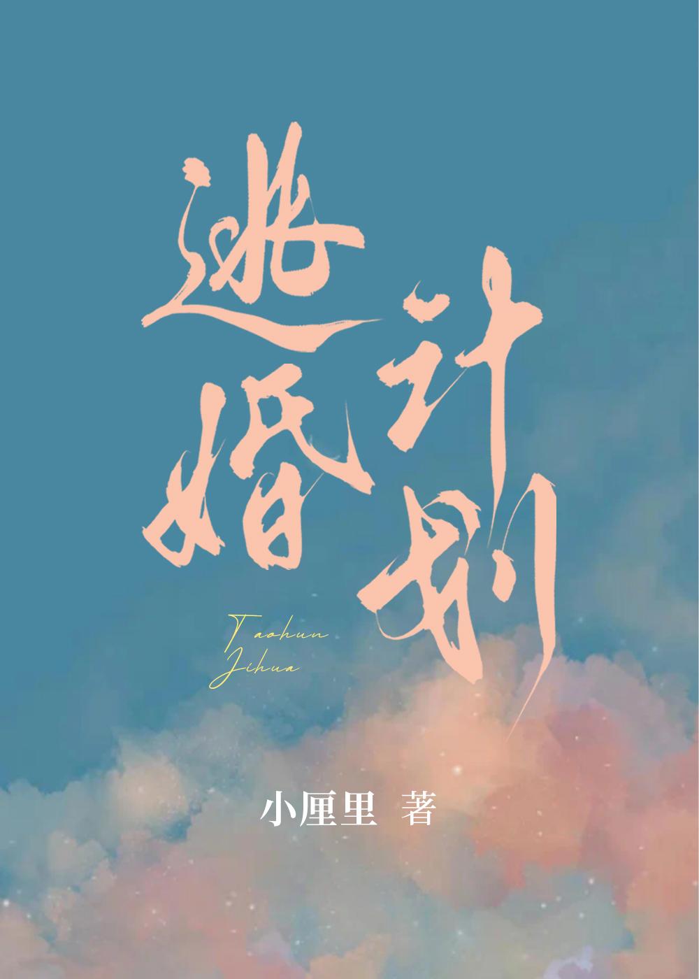 逃婚计划封面