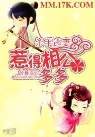 杀手逃妻:惹得相公多多封面