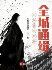 开局被李世民,全城通缉封面
