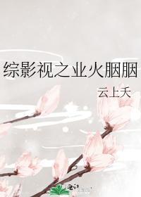 综影视之业火胭胭封面