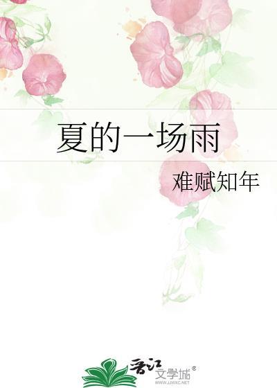 夏的一场雨封面