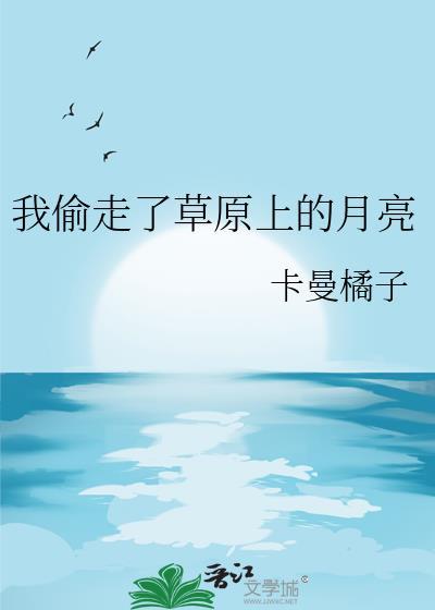 我偷走了草原上的月亮封面