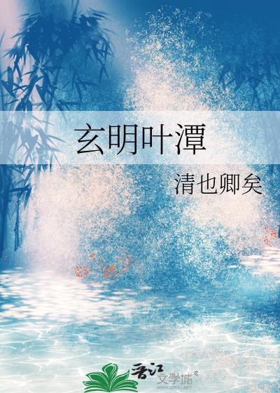 玄明叶潭封面