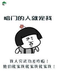 暗门的人就宠我封面
