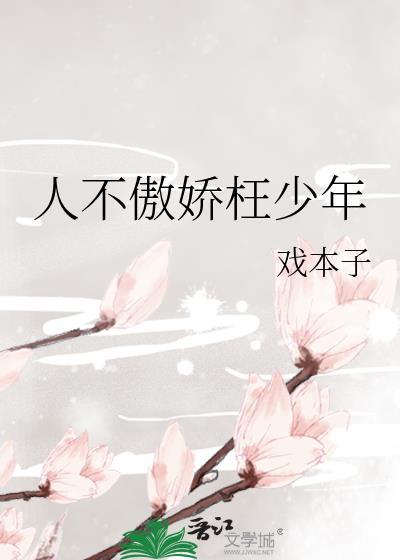 人不傲娇枉少年封面