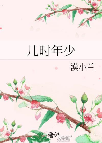 几时年少封面