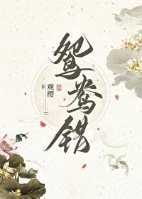 鸳鸯错封面