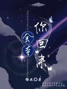 会等你回来封面