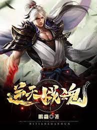逆天战魂封面
