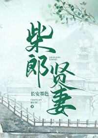 柴郎贤妻(种田文)封面