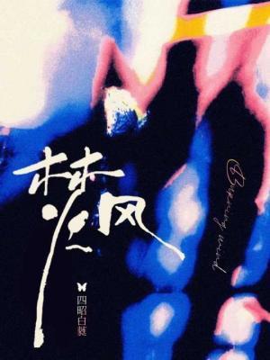 焚风封面