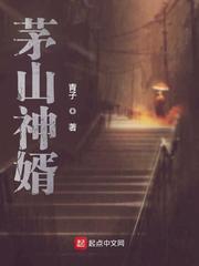 茅山神婿封面