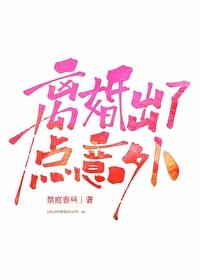 离婚出了点意外封面
