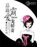 总裁霸爱宠娇妻封面