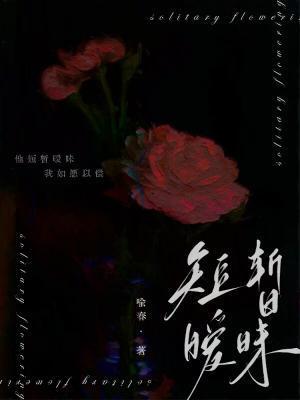 短暂暧昧封面