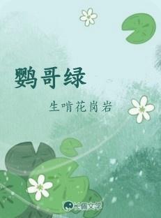 鹦哥绿封面