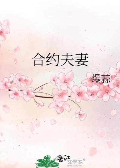 合约夫妻封面