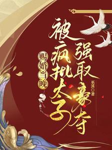 赐婚当晚,被疯批太子强取豪夺封面