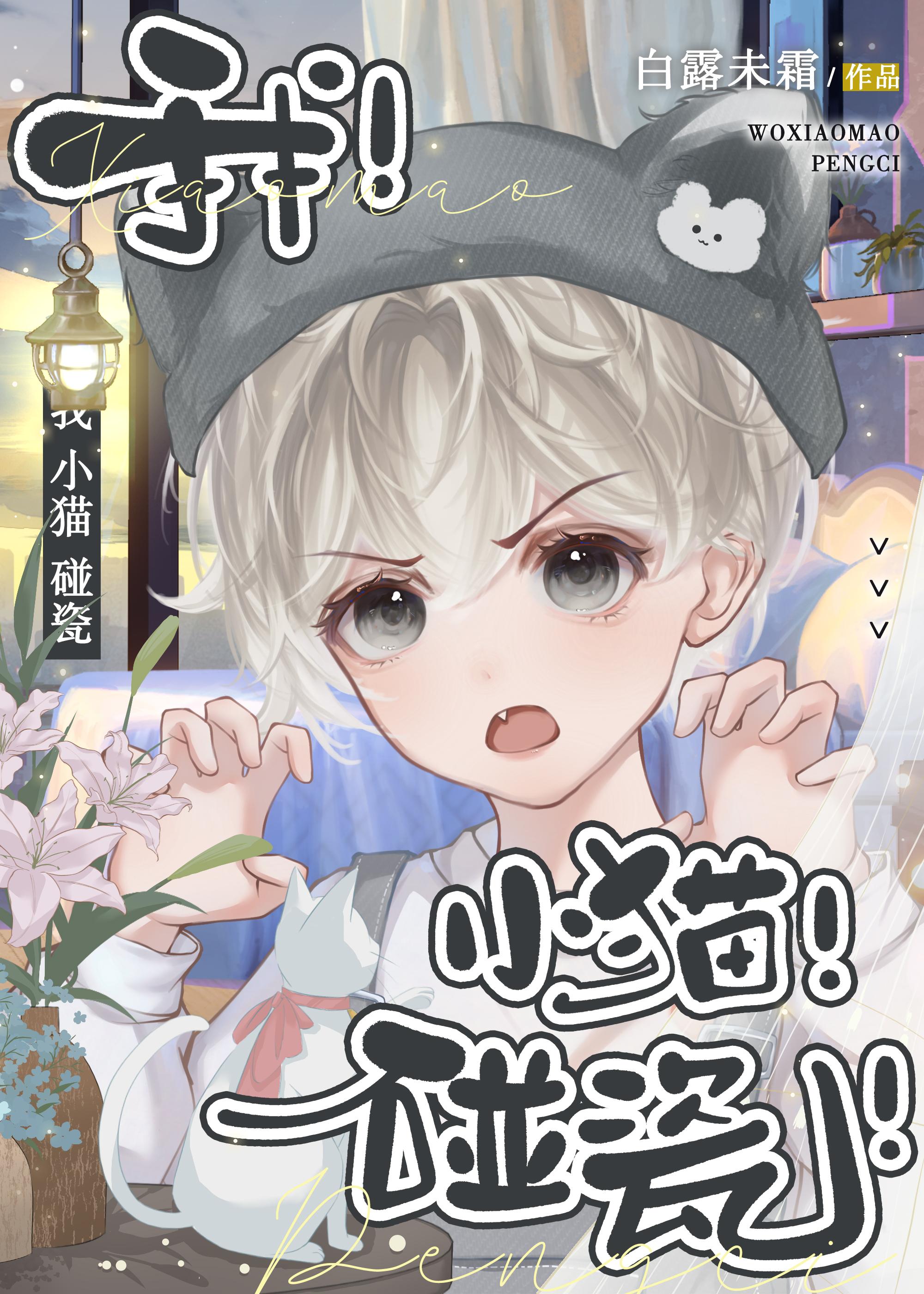 我，小猫，碰瓷封面