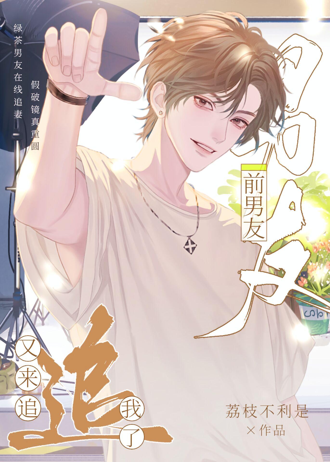 前男友又来追我了封面