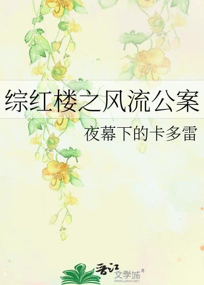 综红楼之风流公案封面