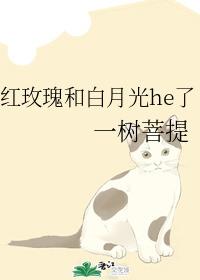 红玫瑰和白月光he了封面