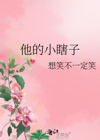 他的小瞎子封面