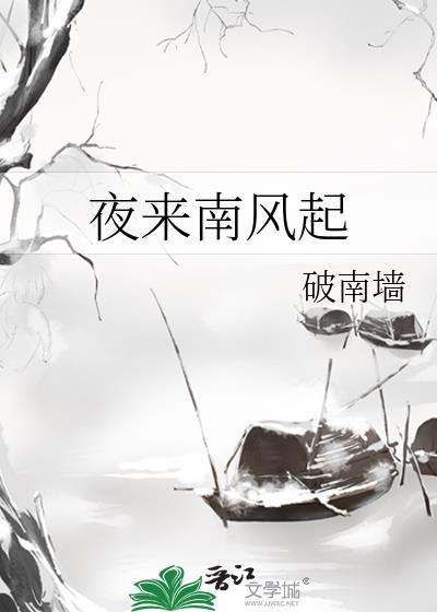 夜来南风起封面