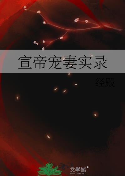 宣帝宠妻实录封面