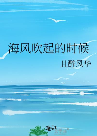 海风吹起的时候封面