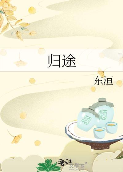 归途封面