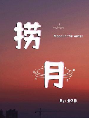 捞月封面