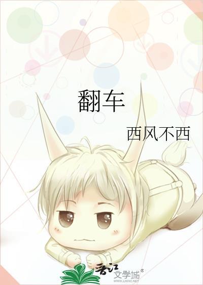 翻车封面