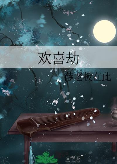 欢喜劫封面